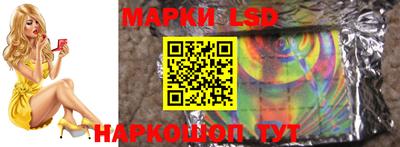 СК Владимир