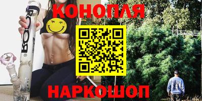 альфа пвп Владикавказ