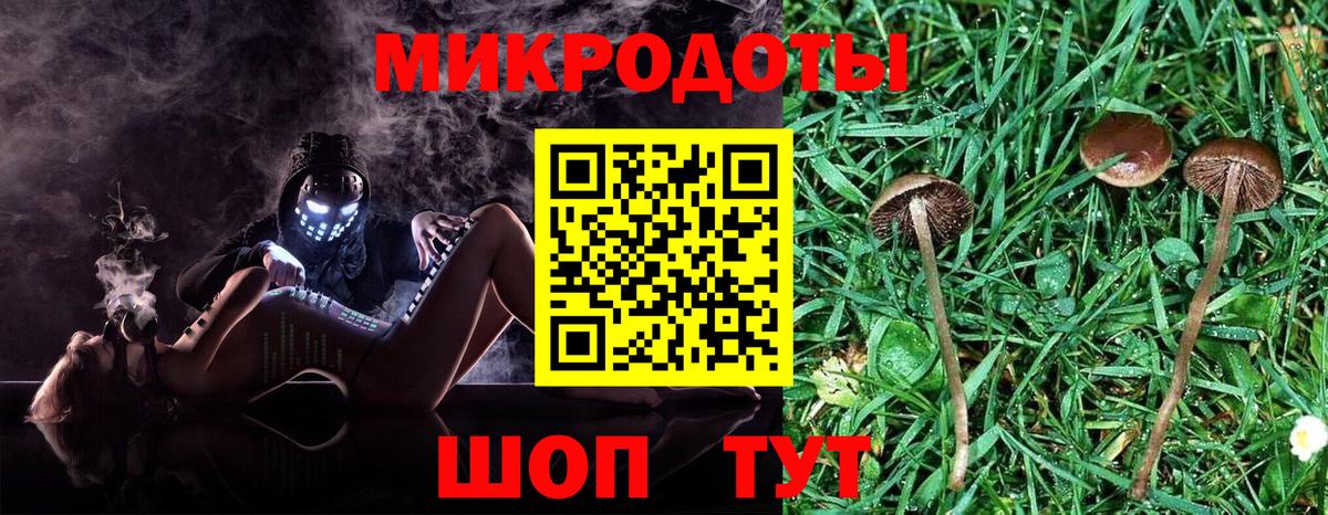 Галлюциногенные грибы мицелий Благодарный