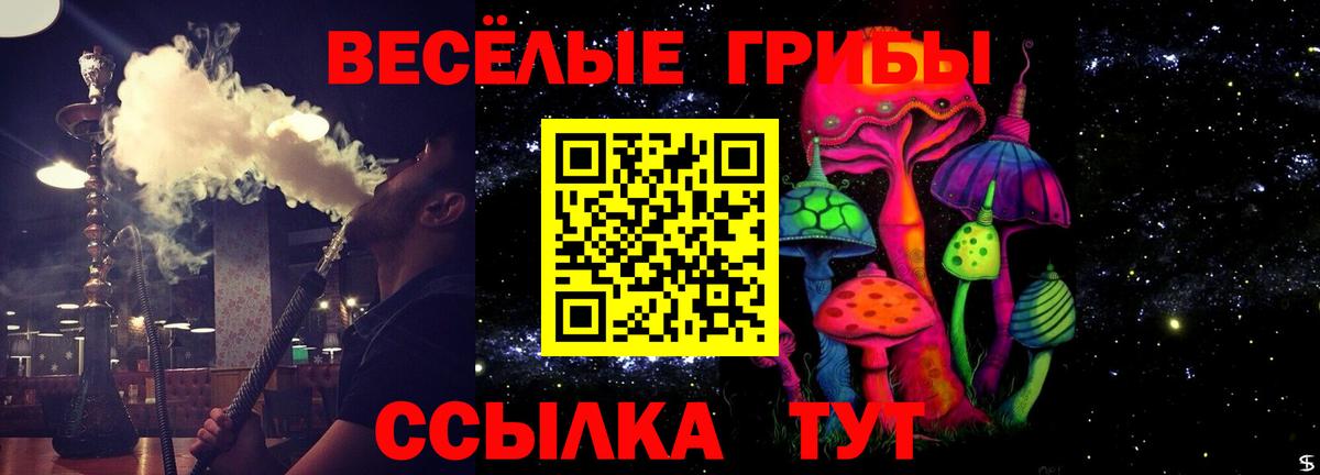 Галлюциногенные грибы Psilocybe  Вход с VPN  Благодарный 